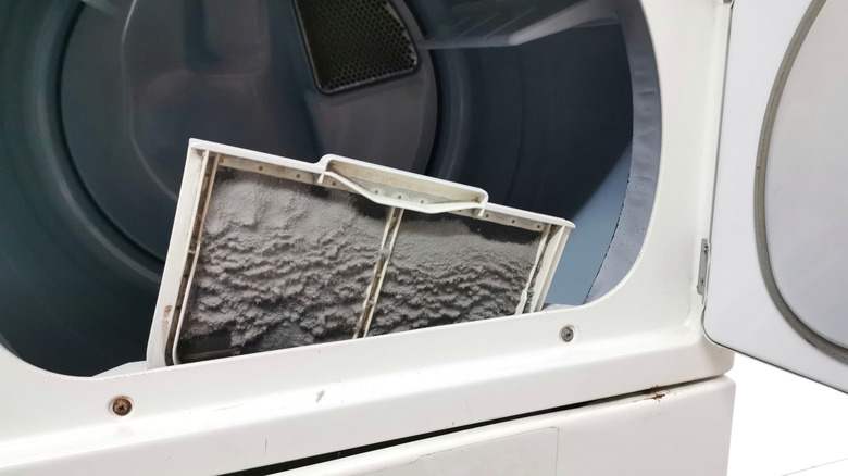 Dryer vent cleaning