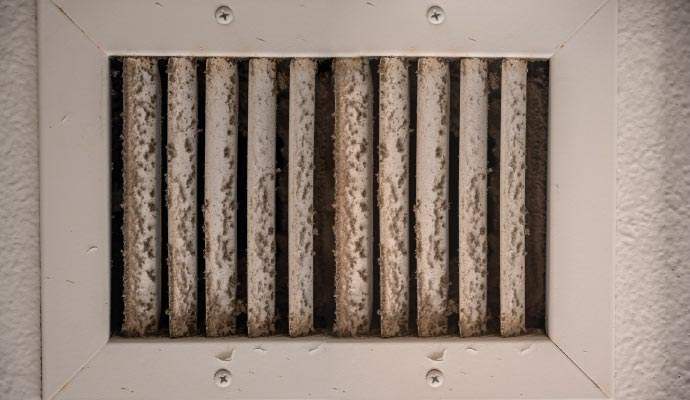 Mold remediation